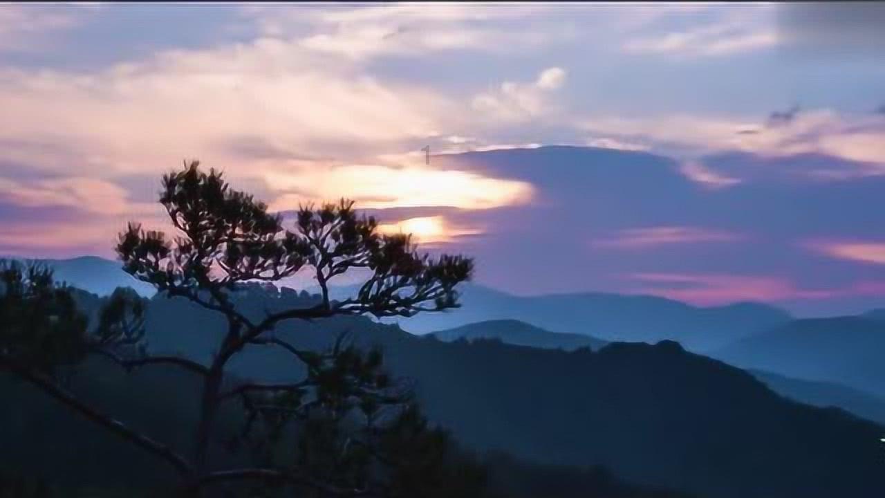 泡泡趴